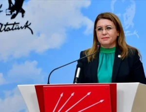 Chp’li Biçer Karaca’dan Çocuk Yoksulluğu Tepkisi