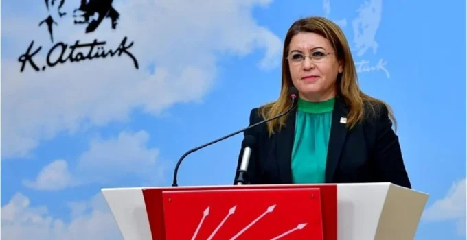 Chp’li Biçer Karaca’dan Çocuk Yoksulluğu Tepkisi