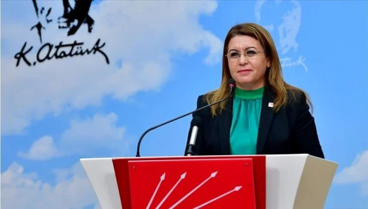 Chp’li Biçer Karaca’dan Çocuk Yoksulluğu Tepkisi