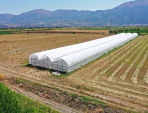 Orman Köylüsüne 135 Milyon TL’lik Orköy Desteği