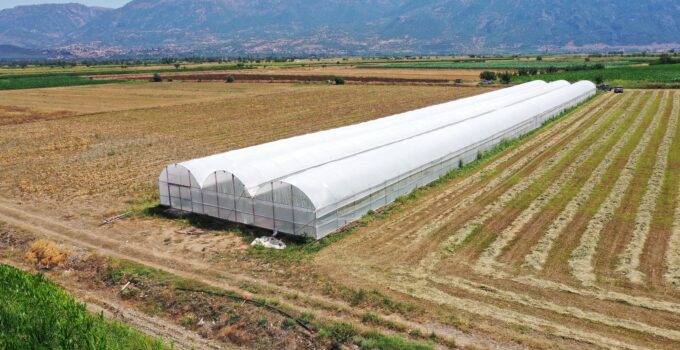 Orman Köylüsüne 135 Milyon TL’lik Orköy Desteği