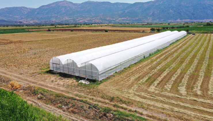 Orman Köylüsüne 135 Milyon TL’lik Orköy Desteği