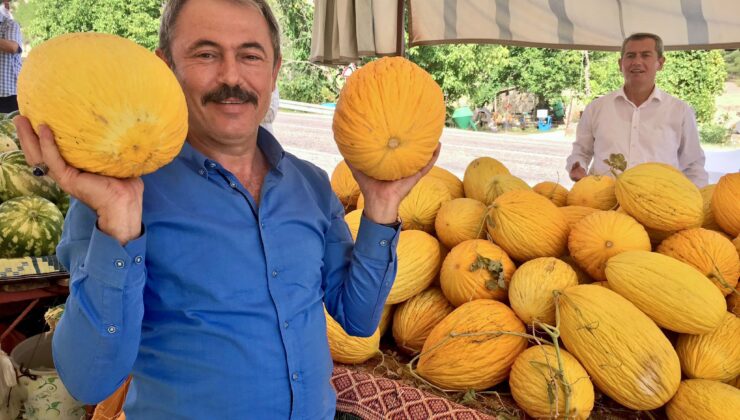 Acıpayam Kavunu Tescillendi