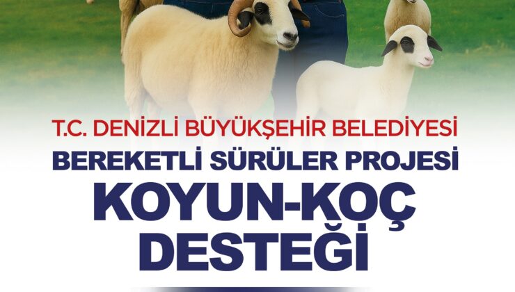 Denizli Büyükşehir’den Koyun-Koç Desteği