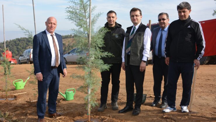 Babadağ’da Gelecek Nesiller İçin Fidanlar Toprakla Buluştu: Milli Ağaçlandırma Günü Coşkusu!