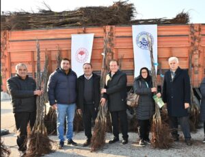 Cevizin Başkentinde Ceviz Fidanı Dağıtımı Sürüyor