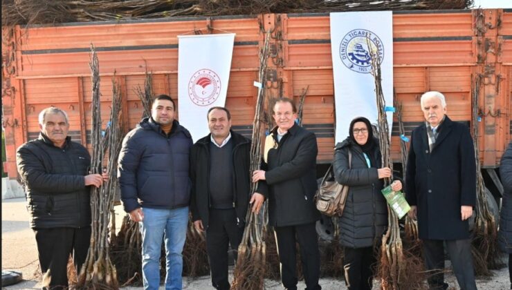 Cevizin Başkentinde Ceviz Fidanı Dağıtımı Sürüyor