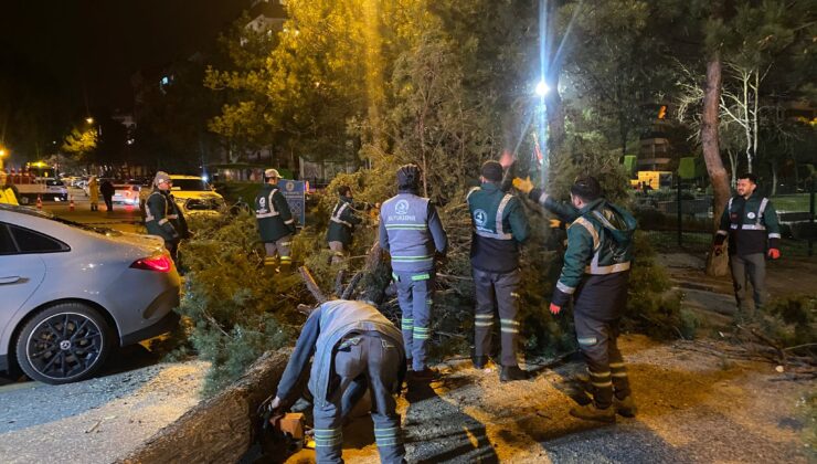 Pamukkale Belediyesi’nden Fırtına Nöbeti