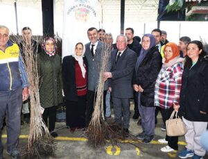 Honaz’da Üreticiye 4 Bin 236 Fidan Verildi
