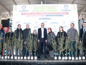 Denizli Büyükşehir’den Üreticiye 84 Bin Sertifikalı Zeytin Fidanı