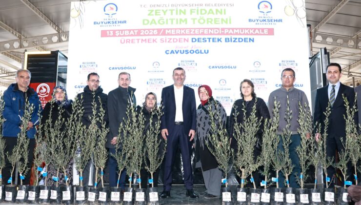 Denizli Büyükşehir’den Üreticiye 84 Bin Sertifikalı Zeytin Fidanı
