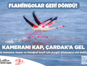 Flamingolar Geri Döndü! Çardak’a Davet Var
