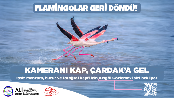 Flamingolar Geri Döndü! Çardak’a Davet Var