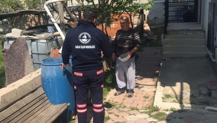 Pamukkale Belediyesi’nden Sivrisineklere Karşı “Birlikte Mücadele” Çağrısı