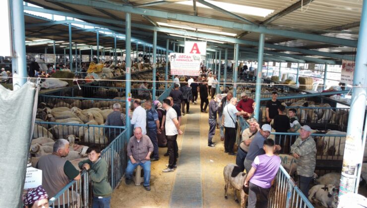 Kurban Pazarında Arefe Yoğunluğu Başkan Tefenlili, Yetiştiricileri Ziyaret Etti