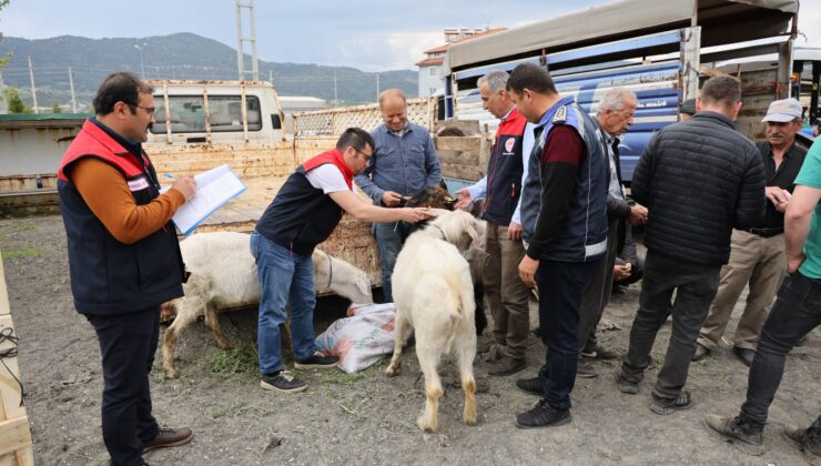 Çameli Kurban Pazarında Bayram Yoğunluğu Ve Sıkı Denetim Başladı