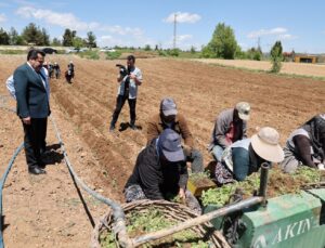 Başkan Ertemur; Makamda Durmuyor, Sorunları Yerinde Çözüyor