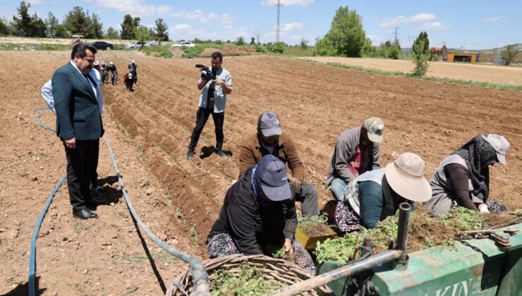 Başkan Ertemur; Makamda Durmuyor, Sorunları Yerinde Çözüyor