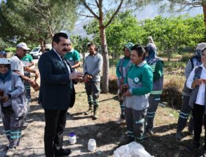 Pamukkale’de 823 Kilometrekarelik Alanda Yabani Ot Mesaisi