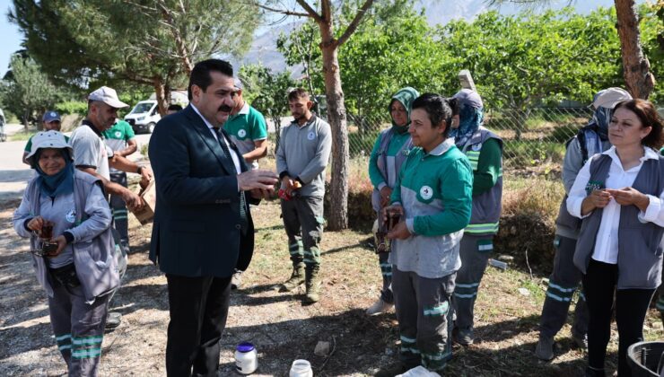 Pamukkale’de 823 Kilometrekarelik Alanda Yabani Ot Mesaisi