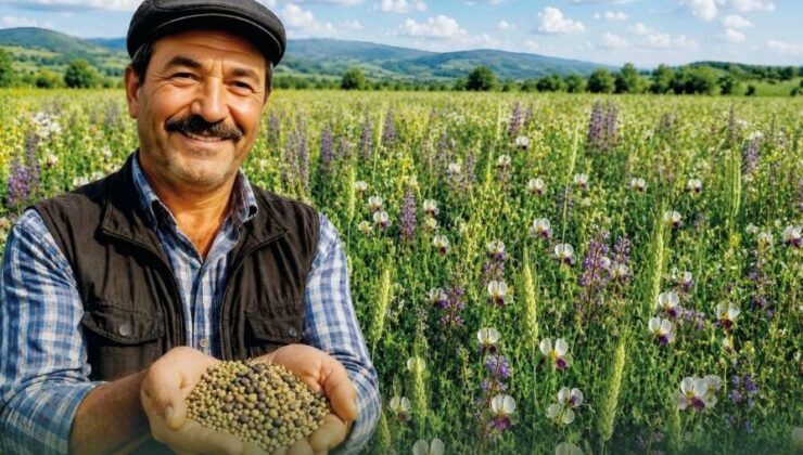 Denizli Büyükşehir’den Yem Maliyetlerine Karşı Güçlü Hamle