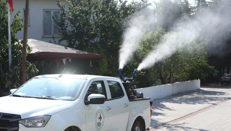 Pamukkale’de Sivrisinek ve Karasinekle Mücadelede Vatandaş Desteği Önemli