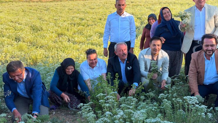 DTO Başkanı Uğur Erdoğan’dan Yoğun Mesai