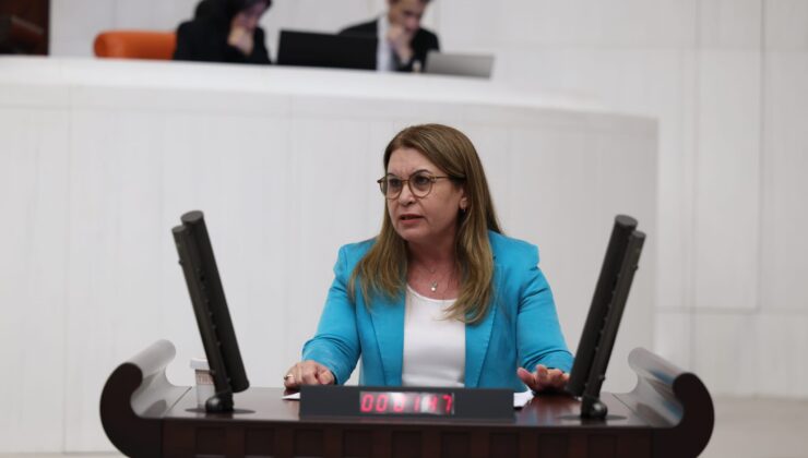 CHP Denizli Milletvekili Gülizar Biçer Karaca, TBMM’de Tekstil Sektörünü Değerlendirdi