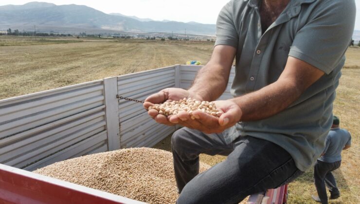Tohum Denizli’den, Hasat Afyon’dan! Borsa-20’de İlk Hasat Heyecanı