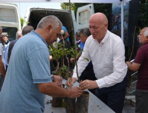 Babadağ’da Vatandaşlara Ceviz Fidanı Desteği
