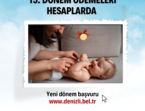 Yeni Doğan Desteğinde 15. Dönem Ödemeleri Hesaplarda