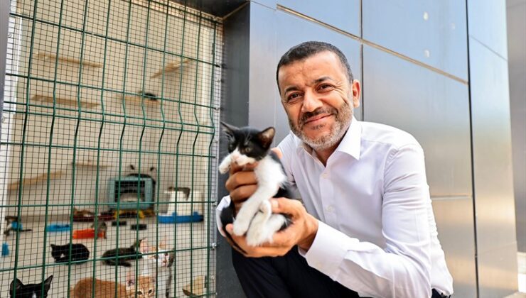 Çavuşoğlu’ndan Barınak Açıklaması: “İsteyen Gidip İnceleyebilir”