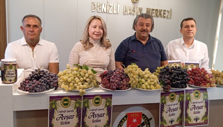 Kökleri 800 Yıl Öncesine Dayanan Mahallede Yetişen 30 Çeşit Üzüm Tanıtılacak